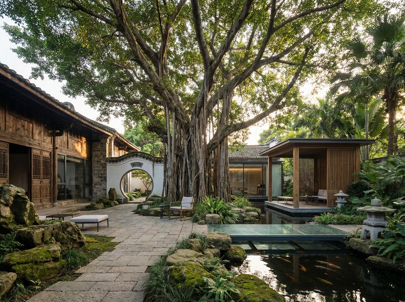 福利姬古榕树纪录片视频