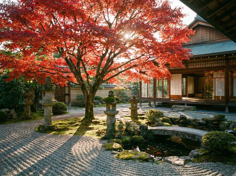 福利姬红枫视频